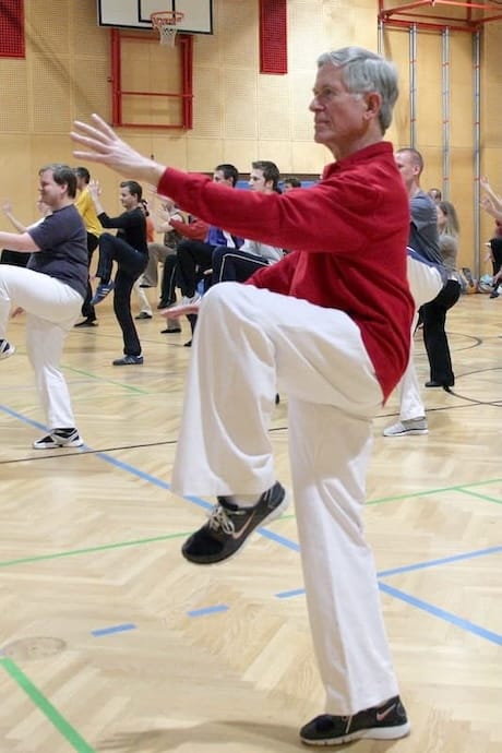 Traditionelles Taiji Quan